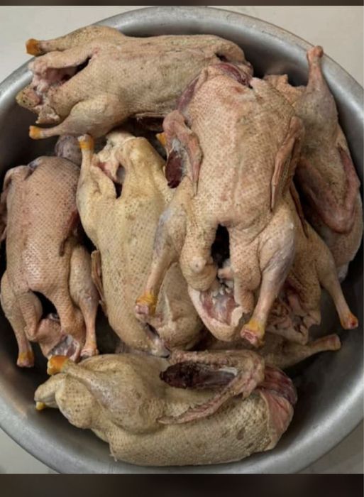 Продам  домашних чищеных уток в любом количестве