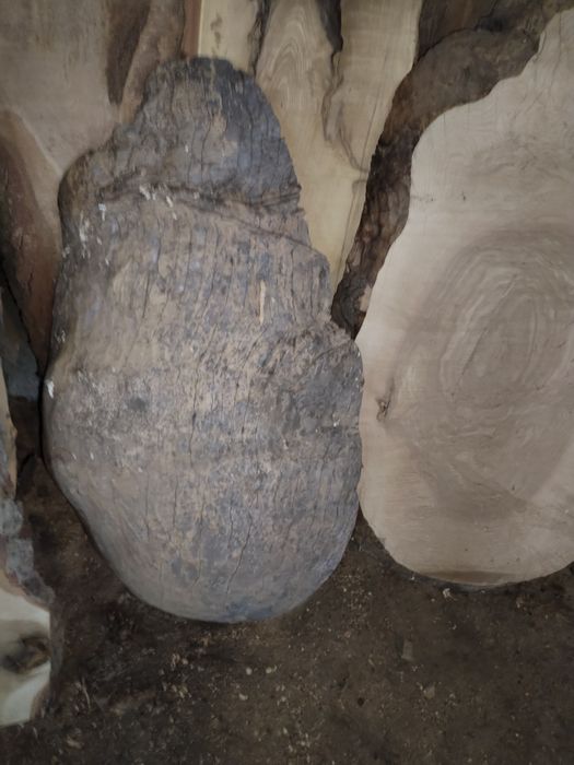 Blaturi pentru proiecte rășină