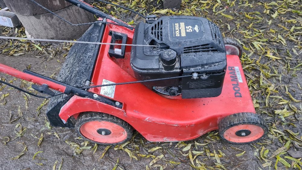 Mașina de tuns iarba,Gazon