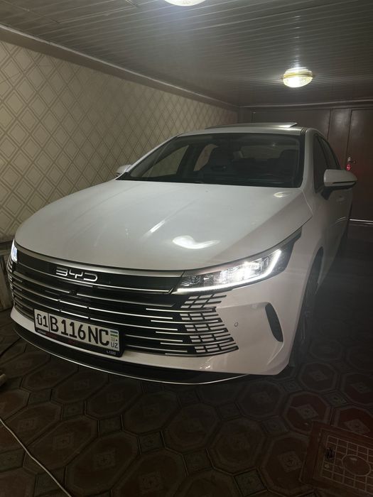 BYD chazor 2024 2 позиция