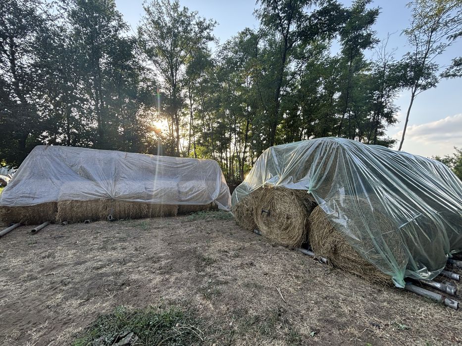 Baloti lucerna rotunzi xxl