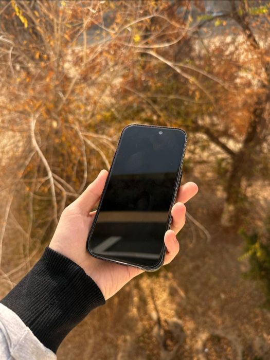 iPhone 15 pro 12/256