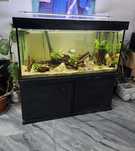 Acvariu 130×60×60 470 litri sticla 12mm

Intarituri in part