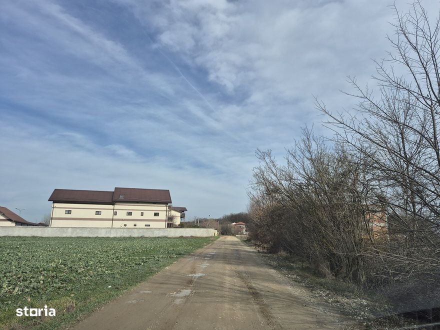 Teren cu gaz si electrica la hotar,langa padure 730 mp