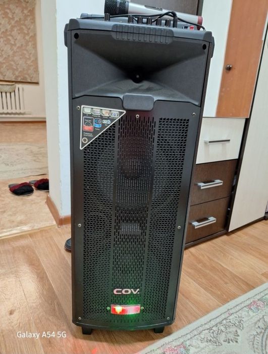 Колонку чемодан  с 2мя микрофонами