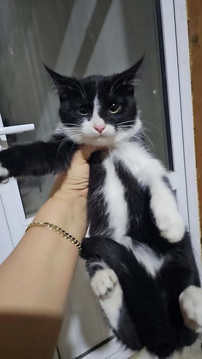 Отдаю хорошо руки