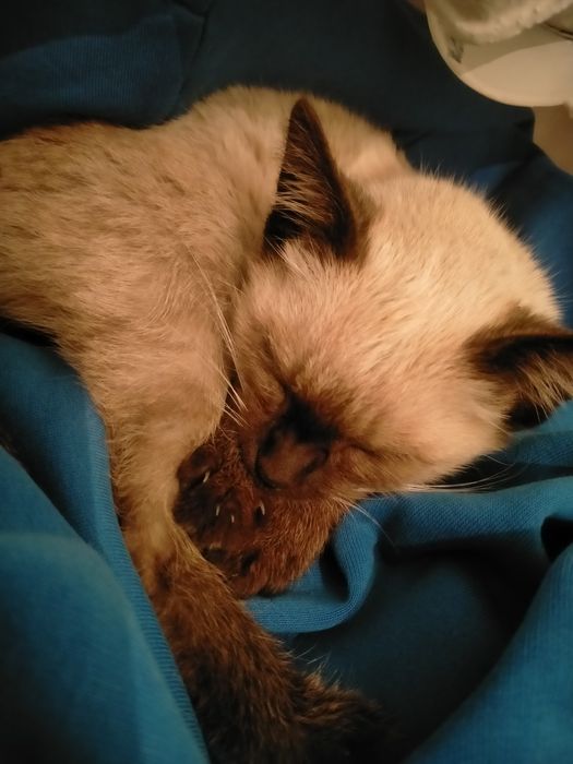 ммммыыыыыыссссыыыккк