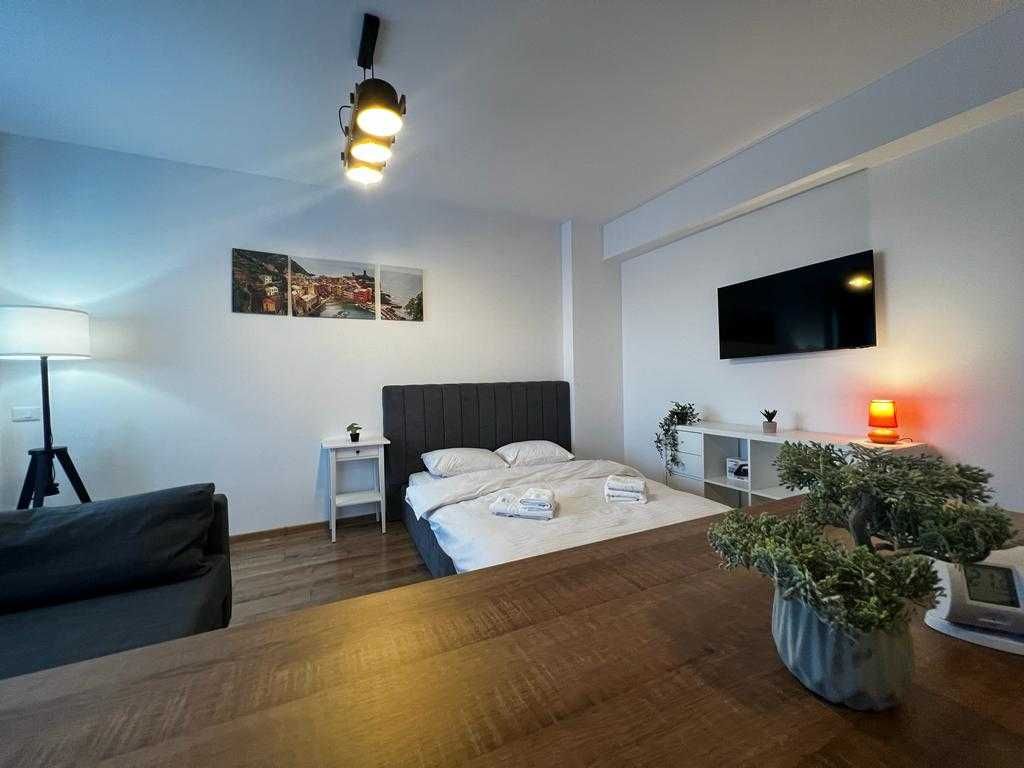 Oferta Cazare Iasi - Apartamente 1/2/3 Camere - Regim Hotelier