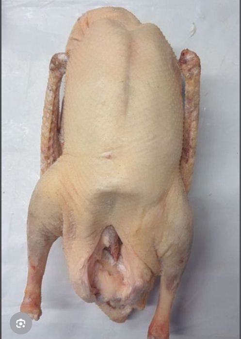 Продам мясо домашних молодых гусей