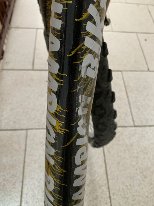 Bicicleta champion bike, Taiwan