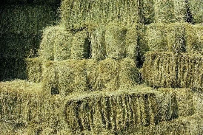 Продавам Бали Сено
