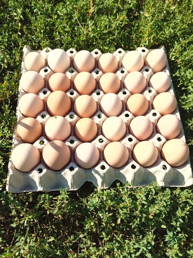 Домашни продукти/храна от село
