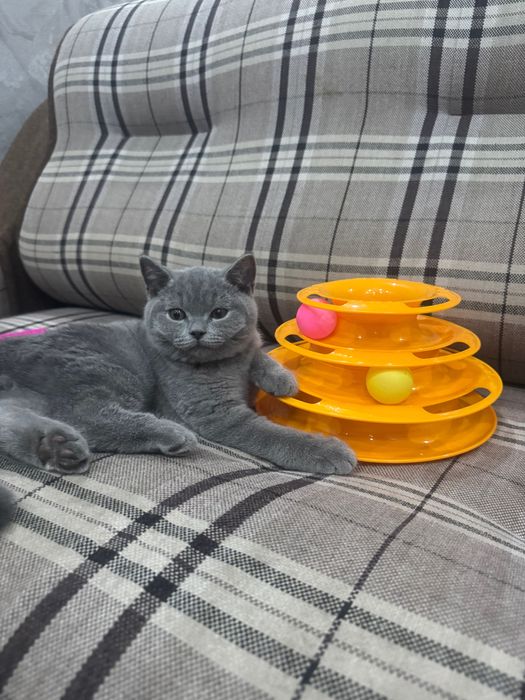 Срочно продаётся