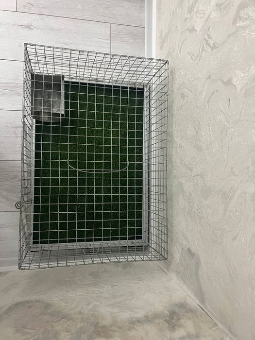 Qafas sotiladi xolati yaxshi