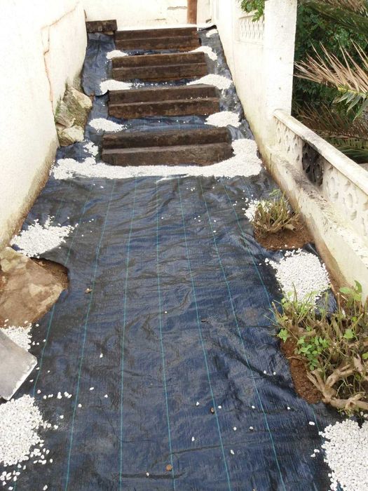 Amenajare grădini,toaletare pomi,scarificare-insamantare gazon!