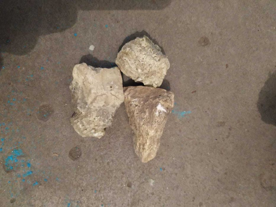 огородная сера для обработки от вредителей в погребах теплицах гаражах