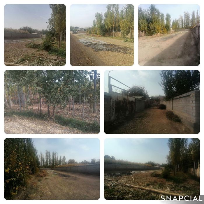 Диккат курук иер сотилади 8сотх срочна тошкент тумани тулабида