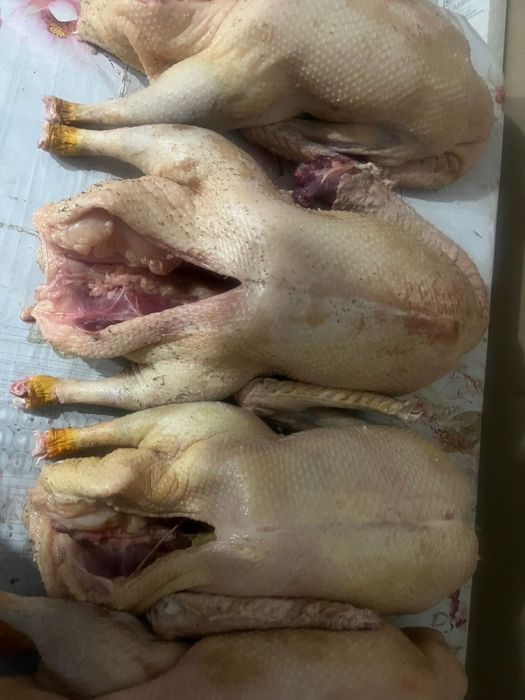 Продам мясо гуся домашнее