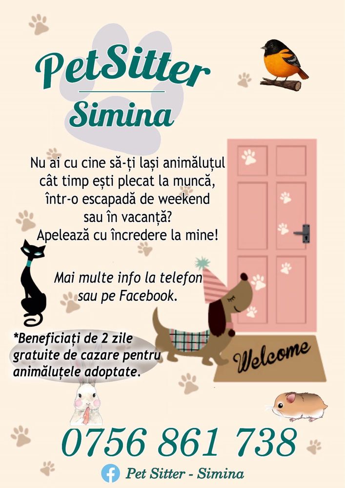 Pet sitter/ bona animale de companie