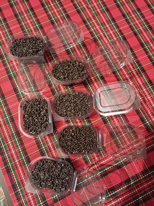 Icre negre de sturion