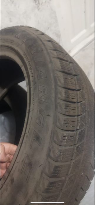 Продам шины triangle