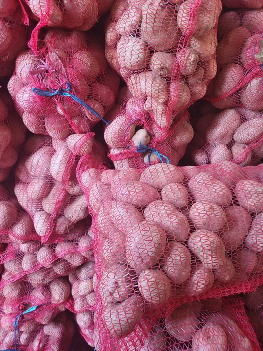 Cartofi consum rosu și alb