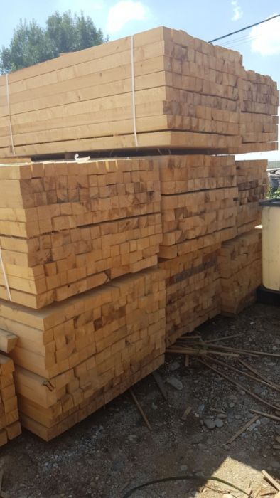 Cherestea(scanura)Molid si Brad