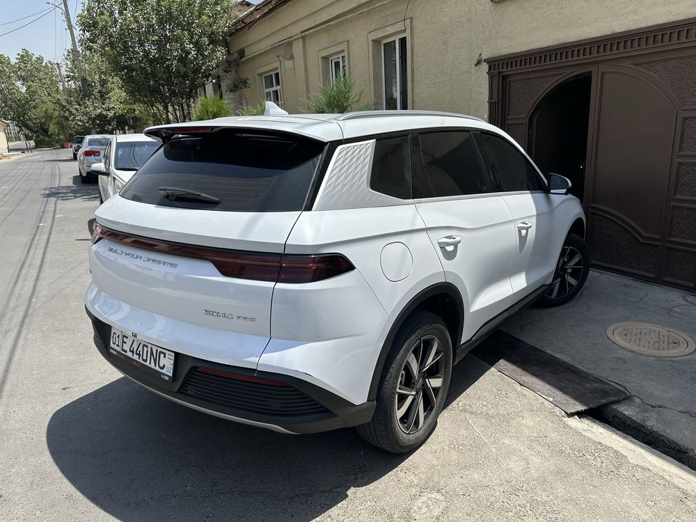Byd song pro DM 2024