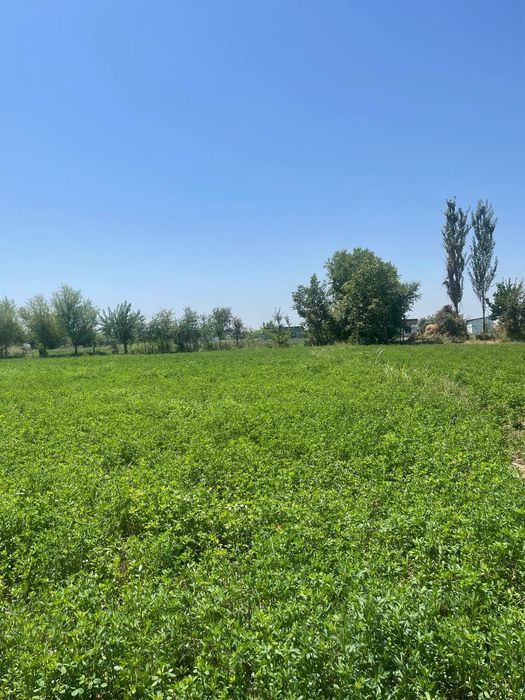 Продаётся 2 участка в одном месте!