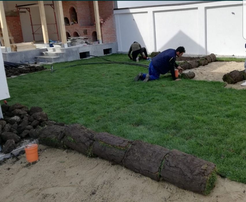 Gazon rulou sport/ tuia Smaragd/ asiguram transport și montaj