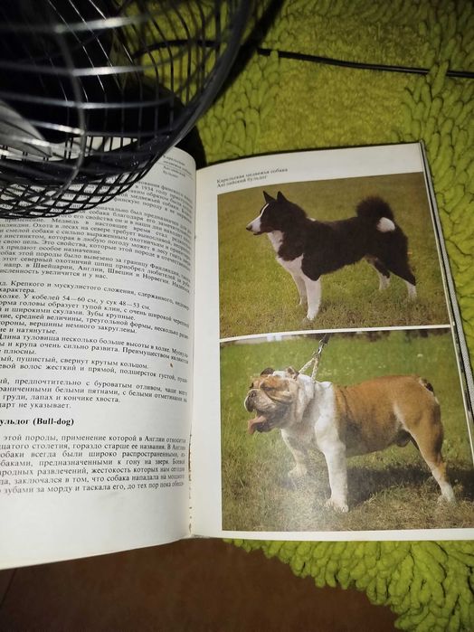 Книга Атлас пород собак