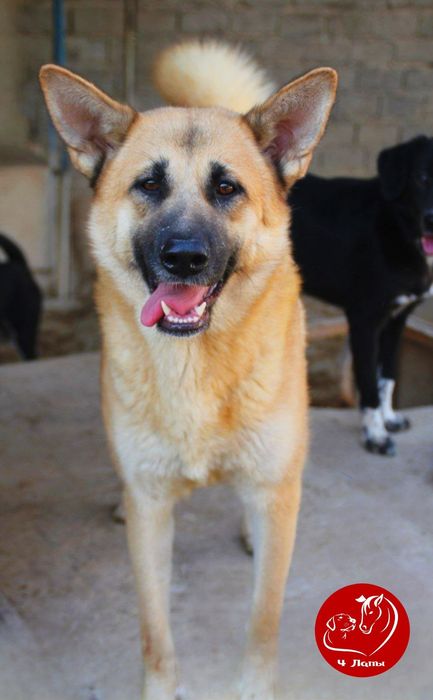 Подариье Джулии семью