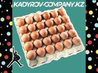Инкубационные яйца бройлера ОПТОМ свежие ИЯ9