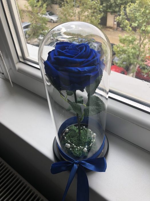 Cupola cu trandafir criongenat albastru inperial