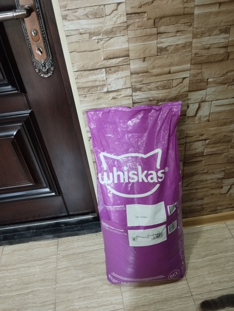 Продам для кошек