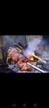 Rotisor protap grill