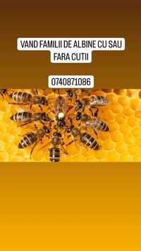 Vând familii de albine cu sau fără cutii