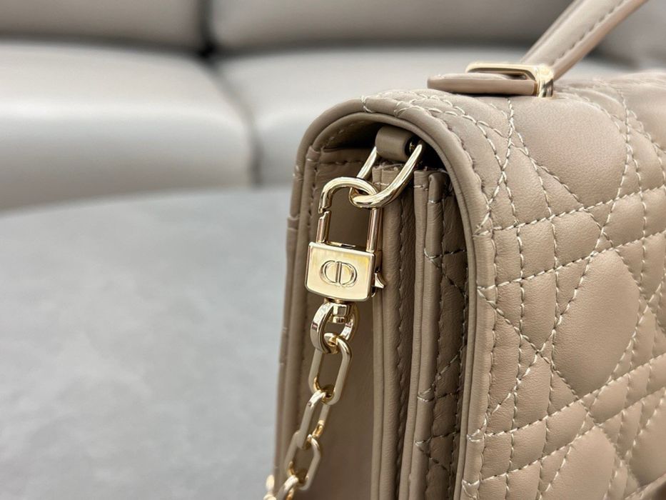 Geanta Christian Dior