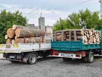 Depozit lemne de foc Sannicolaul Mare