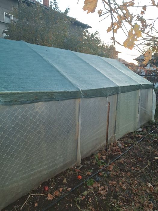 Голяма Оранжея 7 на 3 метра