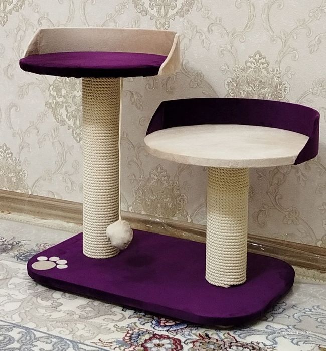 Кашачи доммики сотилади