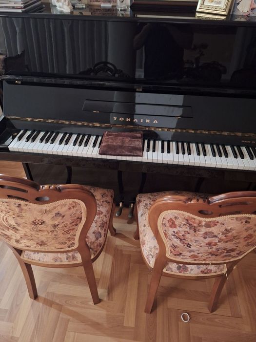 черно пиано Чайка