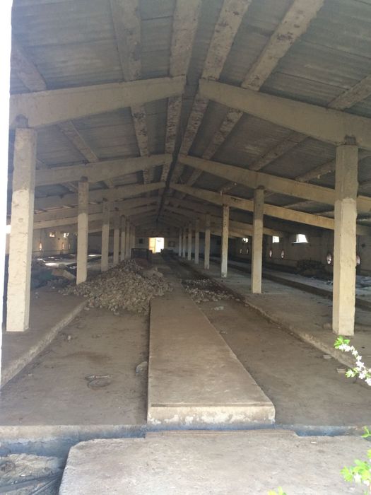 Vand Ferma Avicola-Grozesti Mehedinti-22445 mp teren+8 hale de 1000 mp