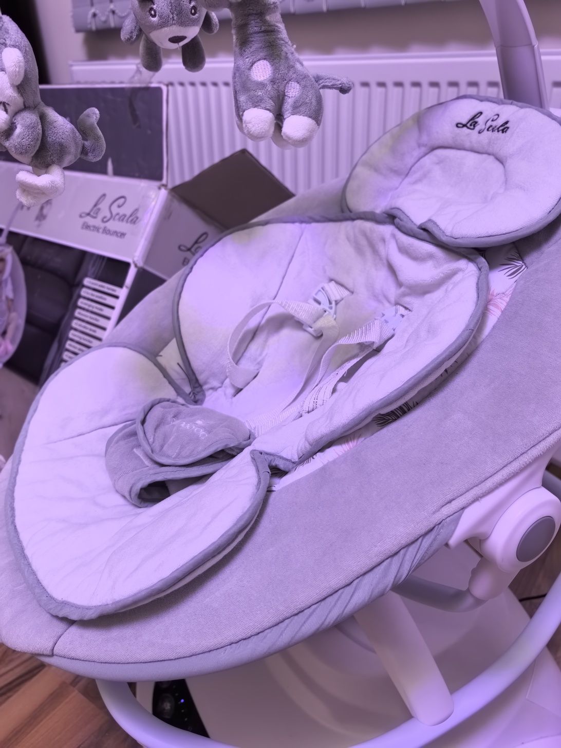 Cangaroo La scala