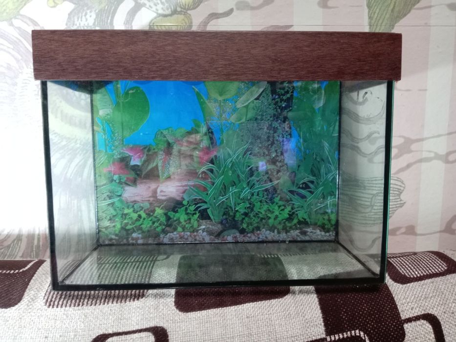 Продам аквариум на 10 литров