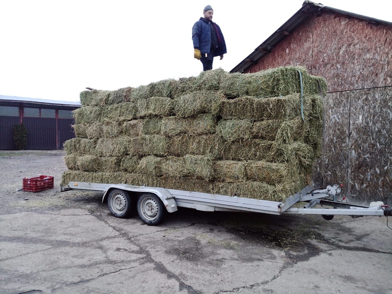 Vand baloți de lucernă