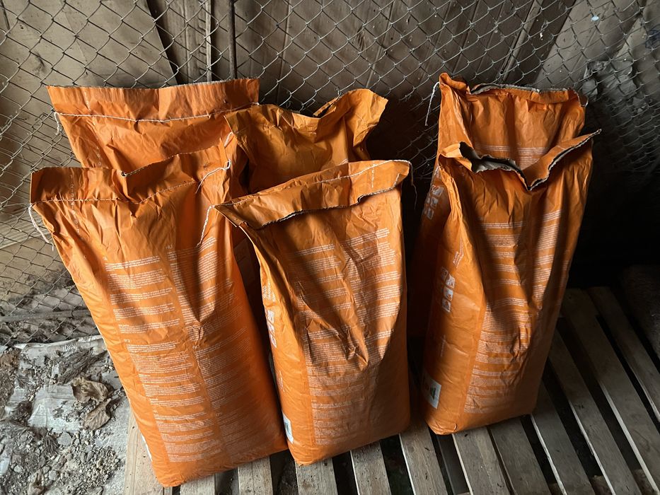 Seminte porumb kws kashmir adonisio nu dekalb pioneer