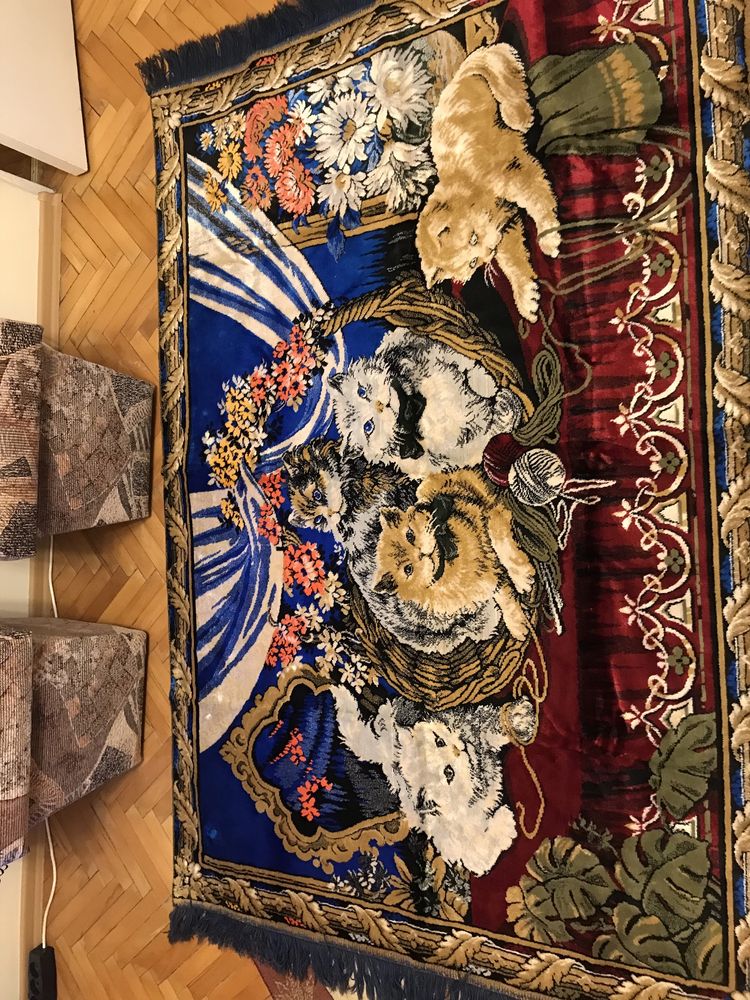 Carpeta cu pisici