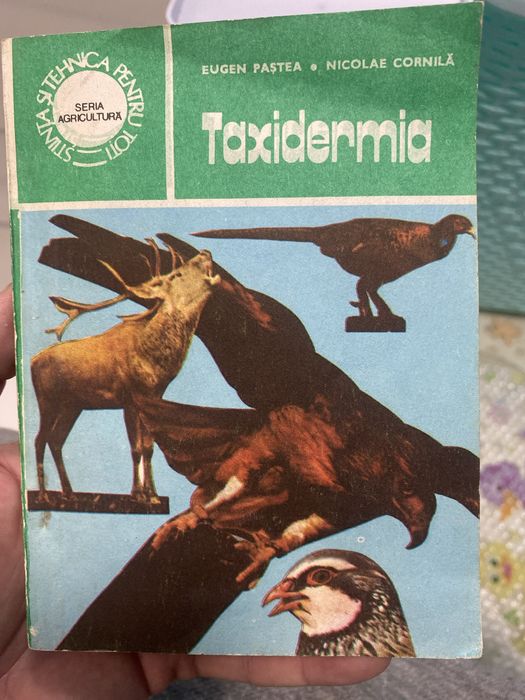 Carte Taxidermie