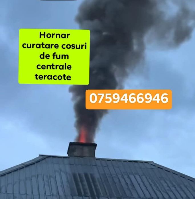 Hornar cosar curatare